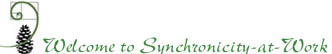 Welcome to Synchronicity-at-Work